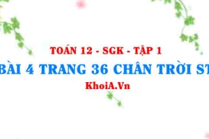 Bài 4 trang 36 Toán 12 Tập 1 Chân trời sáng tạo